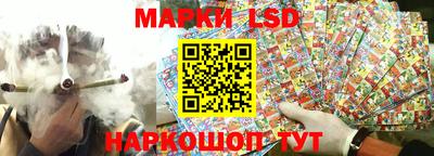 гидра Заводоуковск