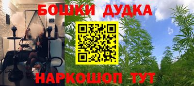 ГАЛЛЮЦИНОГЕННЫЕ ГРИБЫ Заволжье