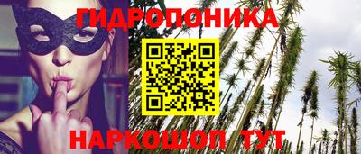 гидра Заводоуковск