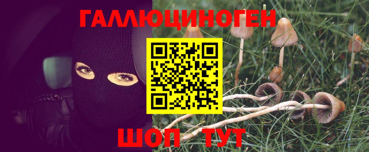Галлюциногенные грибы ЛСД Лабинск